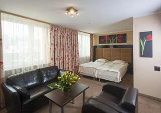 Отель Hotel Mieszko Гожув-Велькопольски Двухместный номер «Премиум» с 1 кроватью или 2 отдельными кроватями-9